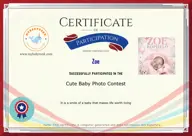 Locked Certificate Preview