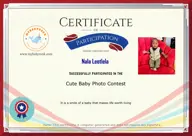 Locked Certificate Preview