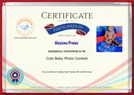 Locked Certificate Preview