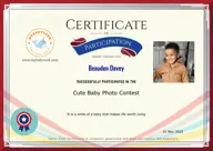 Locked Certificate Preview