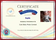 Locked Certificate Preview