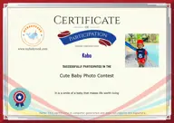 Locked Certificate Preview