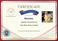 Locked Certificate Preview