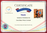 Locked Certificate Preview