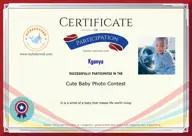 Locked Certificate Preview