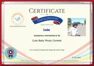Locked Certificate Preview