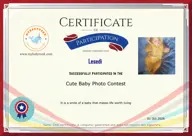 Locked Certificate Preview