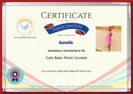 Locked Certificate Preview