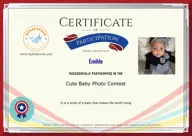 Locked Certificate Preview