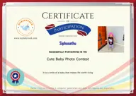 Locked Certificate Preview