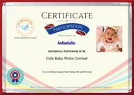 Locked Certificate Preview