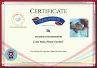 Locked Certificate Preview