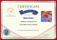 Locked Certificate Preview