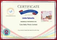 Locked Certificate Preview