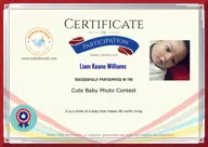 Locked Certificate Preview