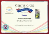 Locked Certificate Preview