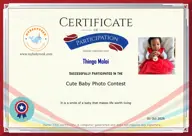 Locked Certificate Preview