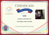Locked Certificate Preview