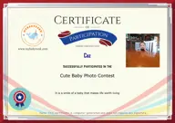 Locked Certificate Preview
