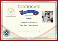 Locked Certificate Preview