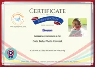 Locked Certificate Preview
