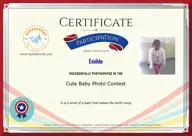 Locked Certificate Preview