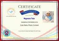 Locked Certificate Preview