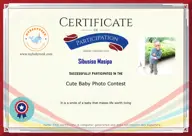 Locked Certificate Preview