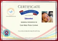 Locked Certificate Preview