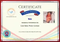 Locked Certificate Preview