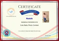 Locked Certificate Preview