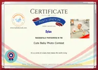Locked Certificate Preview