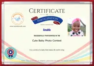 Locked Certificate Preview