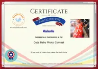 Locked Certificate Preview