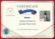 Locked Certificate Preview