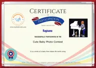 Locked Certificate Preview