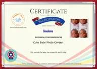 Locked Certificate Preview