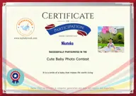Locked Certificate Preview