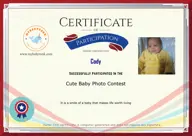 Locked Certificate Preview