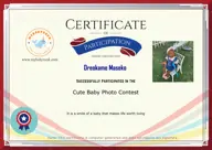Locked Certificate Preview