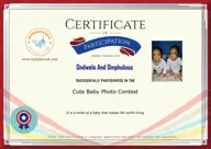 Locked Certificate Preview