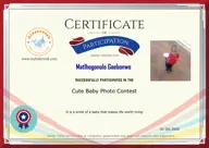 Locked Certificate Preview