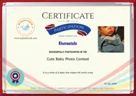Locked Certificate Preview
