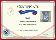 Locked Certificate Preview