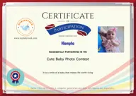 Locked Certificate Preview