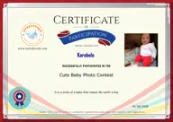 Locked Certificate Preview