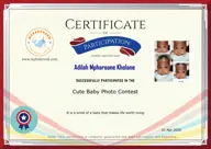 Locked Certificate Preview