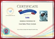 Locked Certificate Preview