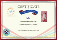 Locked Certificate Preview