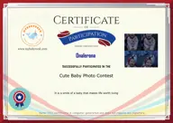 Locked Certificate Preview